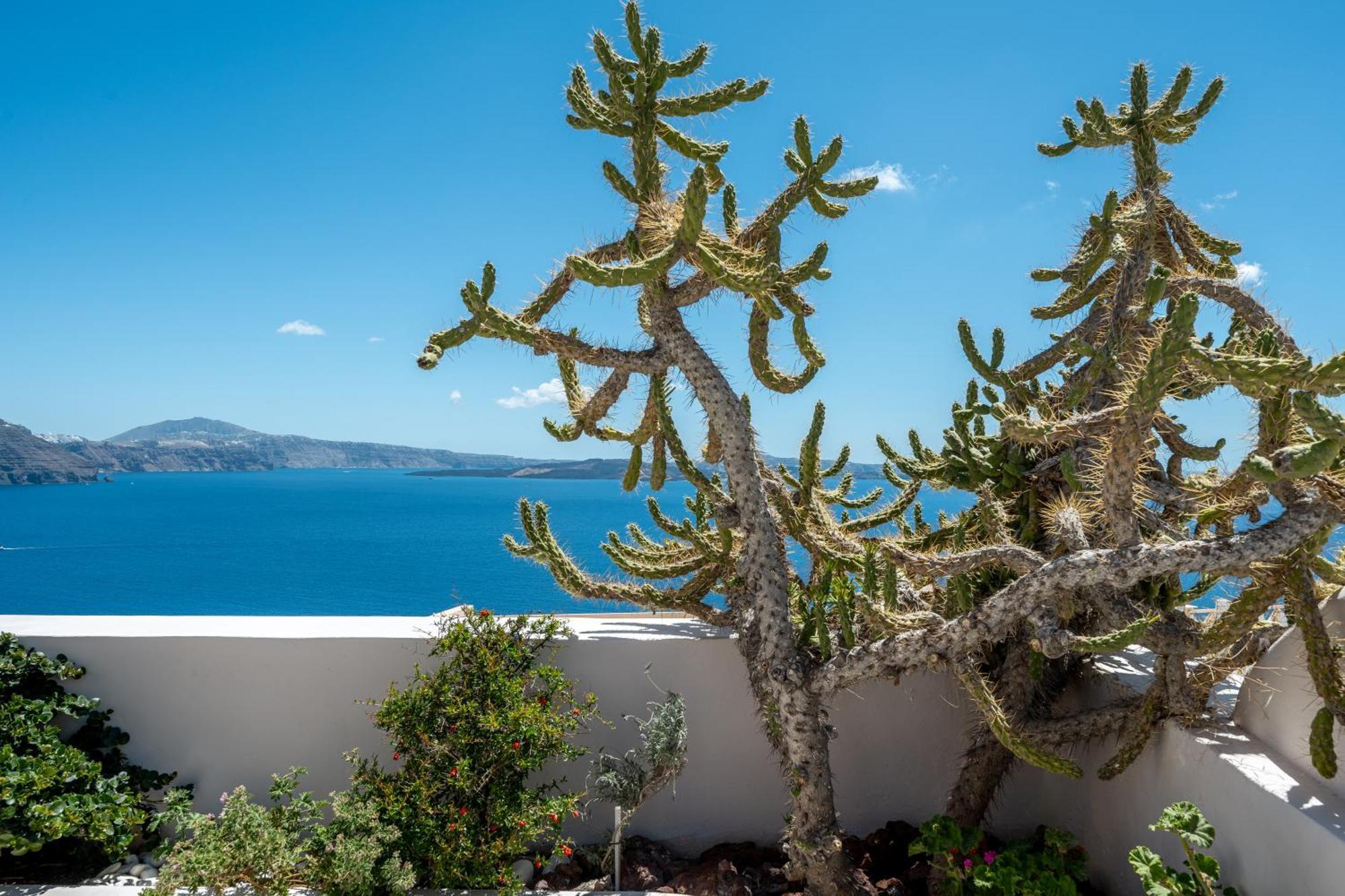 Passion Blue Villas Иа Екстериор снимка